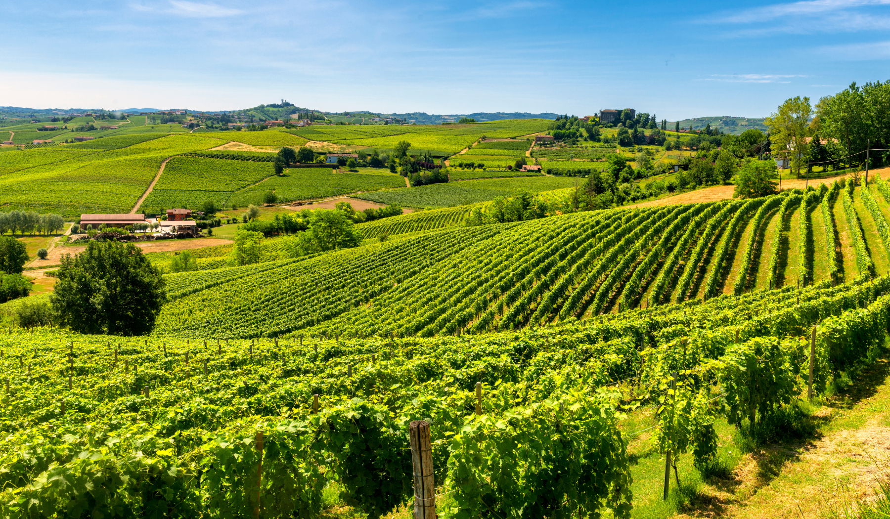 Langhe, Barolo