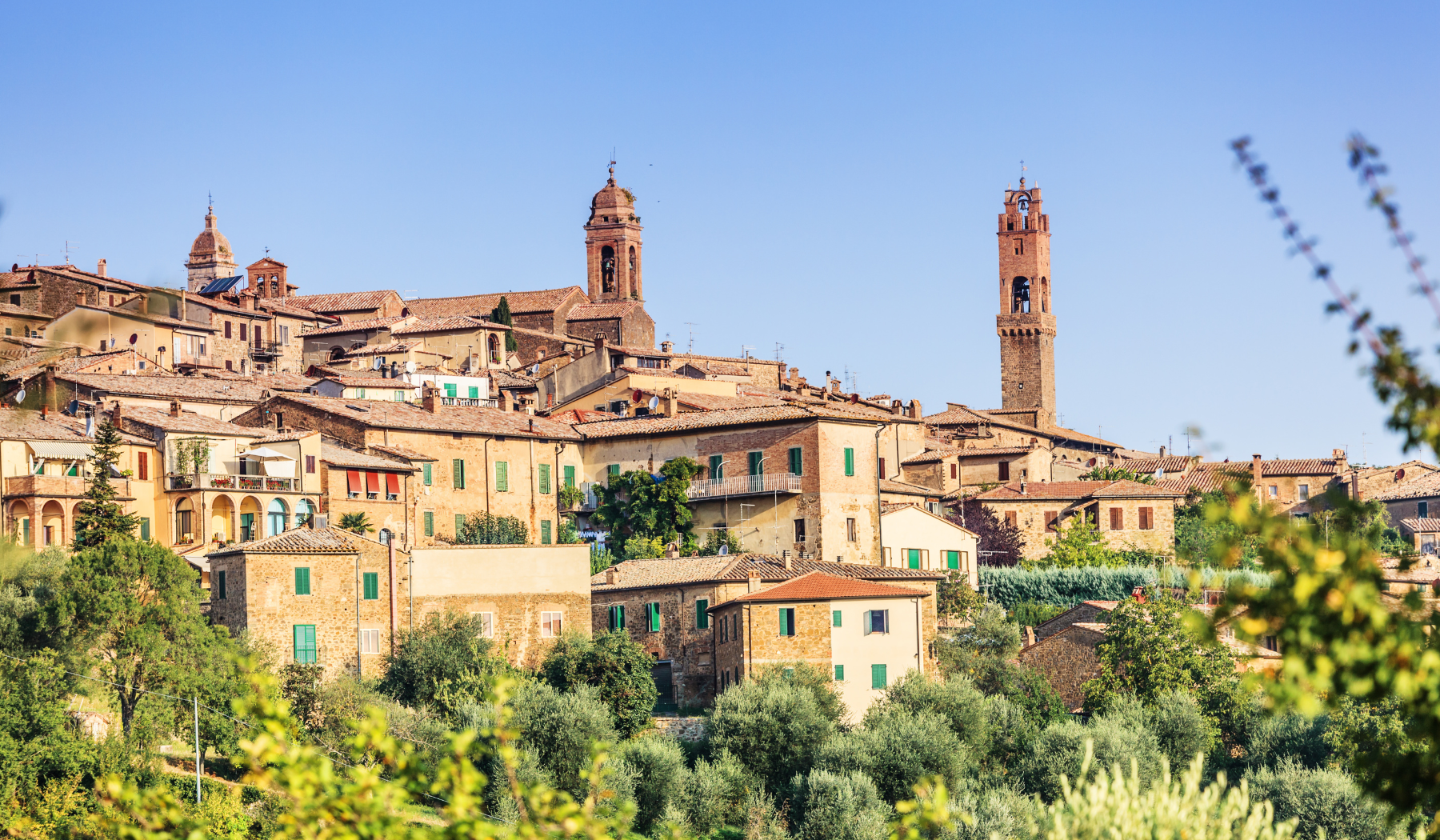 brunello di montalcino (2)